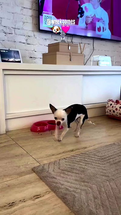 tiliaoficial tiliaoficial archive video