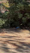 abbyy.irl Altpins Profile Picture