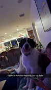 cclaire.bbear1 Altpins Profile Picture