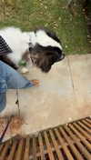 cclaire.bbear1 Altpins Profile Picture