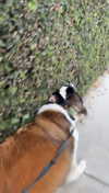 cclaire.bbear1 Altpins Profile Picture