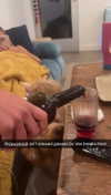 cclaire.bbear1 Altpins Profile Picture