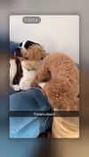 cclaire.bbear1 Altpins Profile Picture