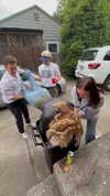 cclaire.bbear1 Altpins Profile Picture