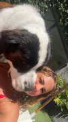 cclaire.bbear1 Altpins Profile Picture