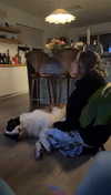 cclaire.bbear1 Altpins Profile Picture