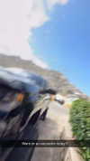 cclaire.bbear1 Altpins Profile Picture