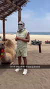 cclaire.bbear1 Altpins Profile Picture