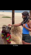cclaire.bbear1 Altpins Profile Picture