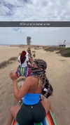 cclaire.bbear1 Altpins Profile Picture