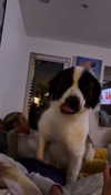 cclaire.bbear1 Altpins Profile Picture