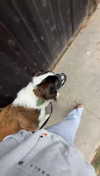 cclaire.bbear1 Altpins Profile Picture