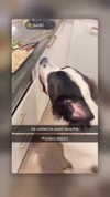 cclaire.bbear1 Altpins Profile Picture