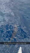 cclaire.bbear1 Altpins Profile Picture