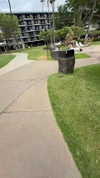 cclaire.bbear1 Altpins Profile Picture