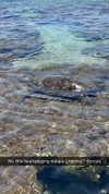 cclaire.bbear1 Altpins Profile Picture