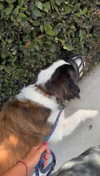 cclaire.bbear1 Altpins Profile Picture
