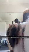 cclaire.bbear1 Altpins Profile Picture