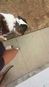 cclaire.bbear1 Altpins Profile Picture