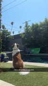 cclaire.bbear1 Altpins Profile Picture