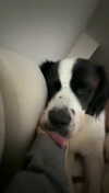cclaire.bbear1 Altpins Profile Picture