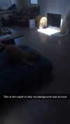 cclaire.bbear1 Altpins Profile Picture