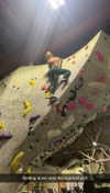 cclaire.bbear1 Altpins Profile Picture