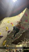 cclaire.bbear1 Altpins Profile Picture