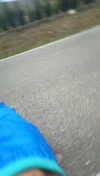 cclaire.bbear1 Altpins Profile Picture