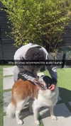 cclaire.bbear1 Altpins Profile Picture