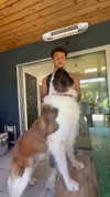 cclaire.bbear1 Altpins Profile Picture
