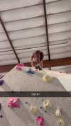 cclaire.bbear1 Altpins Profile Picture