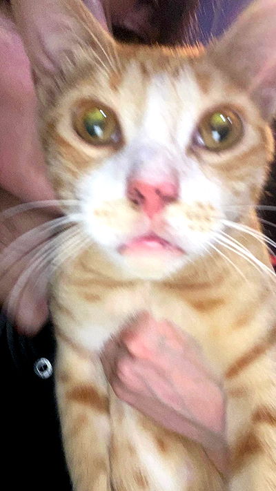 feelbetterinmysweater feelbetterinmysweater archive video