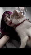 xylia444 Altpins Profile Picture