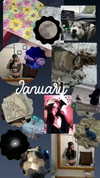 astarwbry_ Altpins Profile Picture