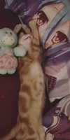 reitoshin Altpins Profile Picture