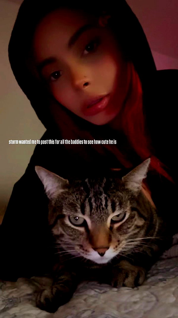 katiebellofficial archive video preview