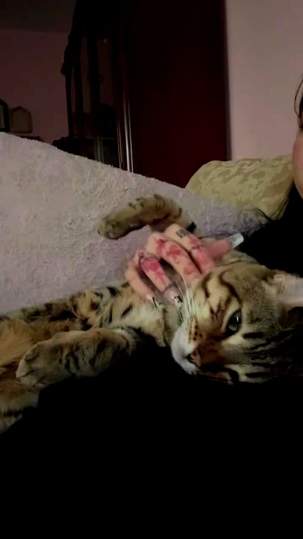 laurinchhhe archive video preview