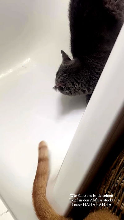 yoo.mon yoo.mon archive video