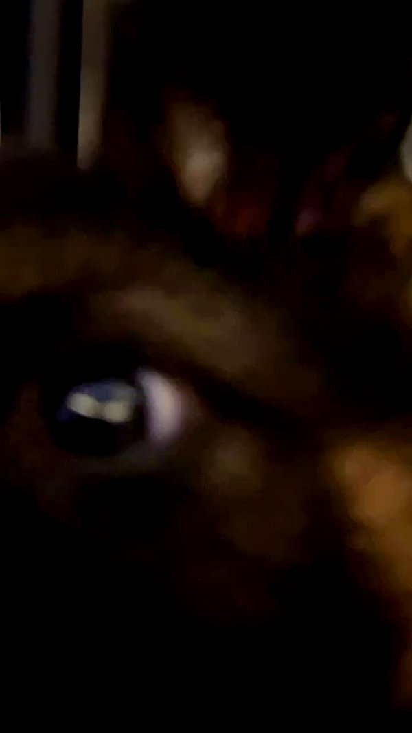 slythershelly archive video preview