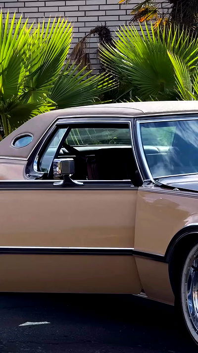 rachelc00k rachelc00k archive video