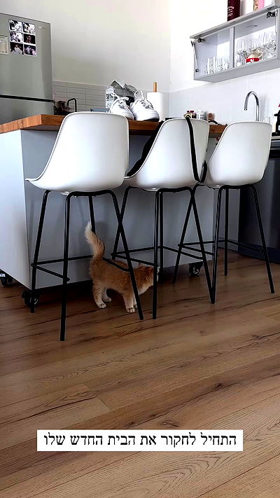 itsilanosh itsilanosh archive video