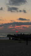 daniel_gal_1 Altpins Profile Picture