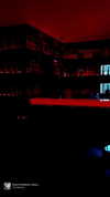 angxl.sky Altpins Profile Picture