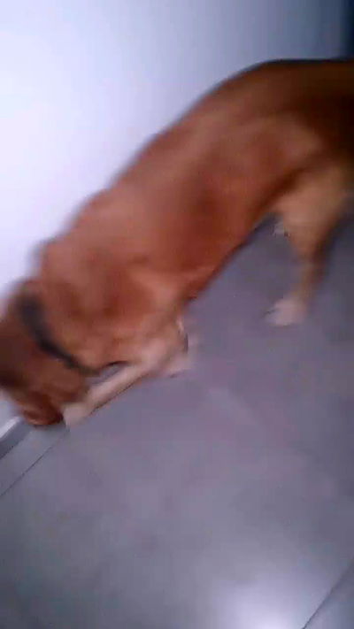 tinapavlov.sky tinapavlov.sky archive video