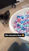 alyri_tv Altpins Profile Picture