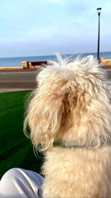 feelbetterinmysweater feelbetterinmysweater archive video