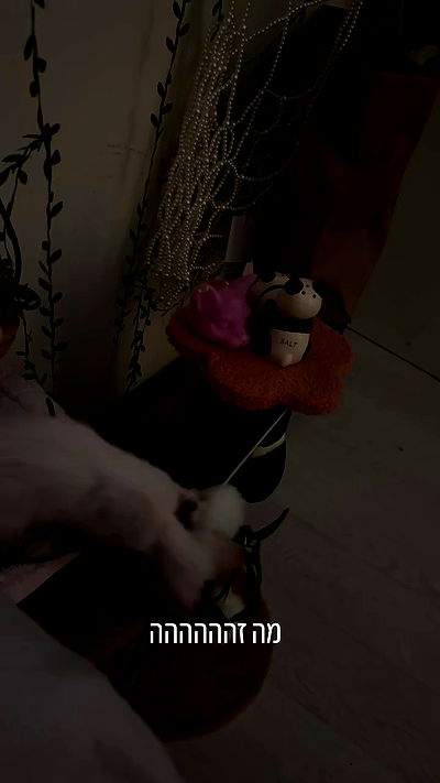 natalllluli natalllluli archive video