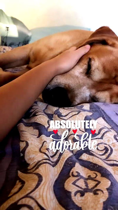 lissi77 lissi77 archive video