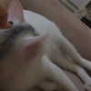 joslinw Altpins Profile Picture